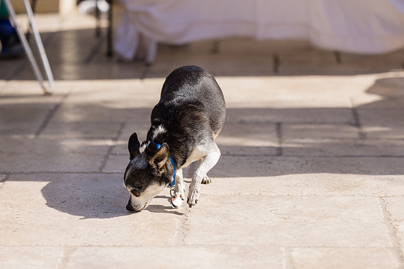 Eric and Amanda - Huntington Beach Photographer-113