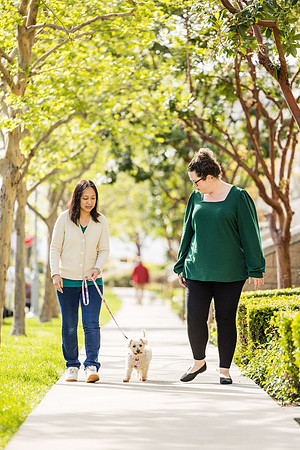 Pet Photographer Aliso Viejo - Pet Photographer Oc-044
