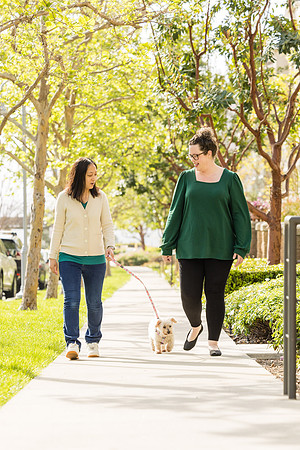 Pet Photographer Aliso Viejo - Pet Photographer Oc-039