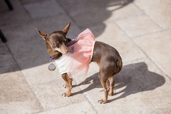 Eric and Amanda - Huntington Beach Photographer-112