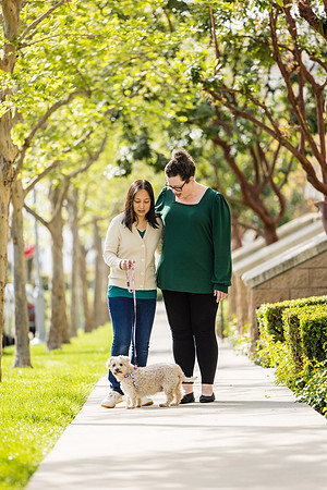 Pet Photographer Aliso Viejo - Pet Photographer Oc-049