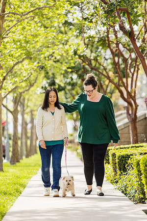 Pet Photographer Aliso Viejo - Pet Photographer Oc-051