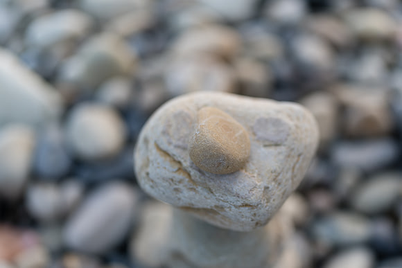 Engagement Photos Abalone Cove Reserve - David England Photography-276