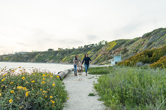 Engagement Photos Abalone Cove Reserve - David England Photography-305