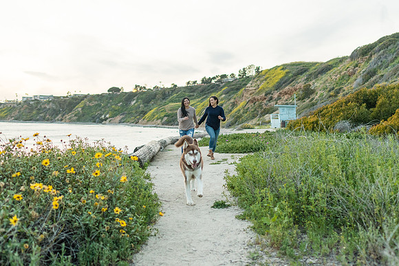Engagement Photos Abalone Cove Reserve - David England Photography-306