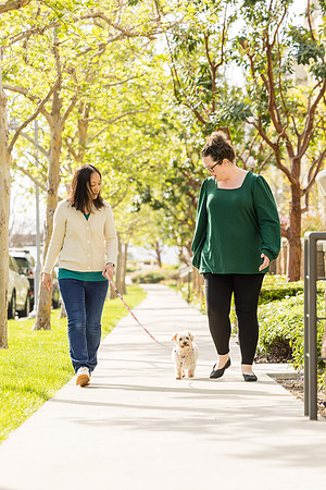 Pet Photographer Aliso Viejo - Pet Photographer Oc-040