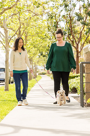 Pet Photographer Aliso Viejo - Pet Photographer Oc-043