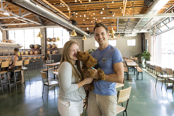 Pet Photographer Long Beach  - Trademark Brewing -128