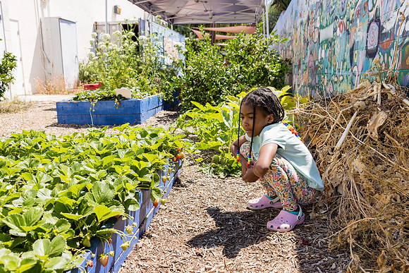 Boys and Girls Club of Long Beach - David England Photography-052