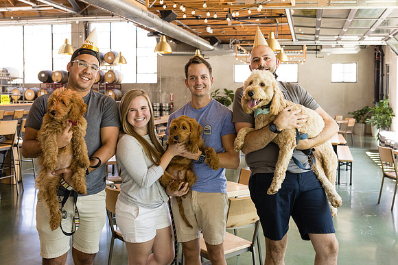Pet Photographer Long Beach  - Trademark Brewing -137
