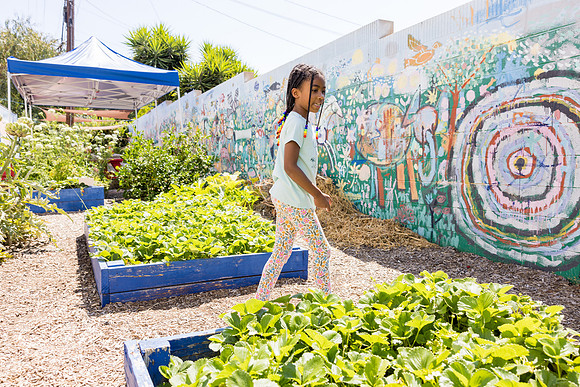 Boys and Girls Club of Long Beach - David England Photography-040