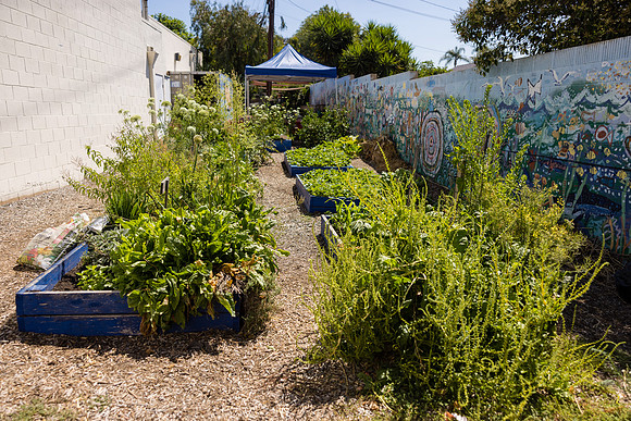 Boys and Girls Club of Long Beach - David England Photography-033
