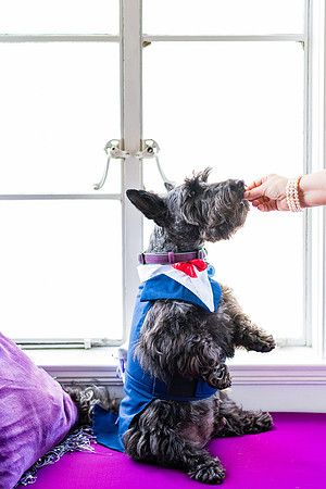 Wedding Photographer Long Beach -126
