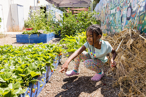 Boys and Girls Club of Long Beach - David England Photography-053