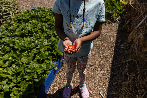 Boys and Girls Club of Long Beach - David England Photography-060
