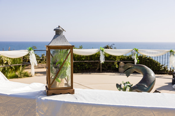 Wedding Photos Crescent Bay Park Laguna Beach Ca-161