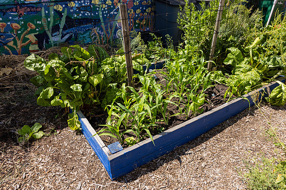 Boys and Girls Club of Long Beach - David England Photography-035