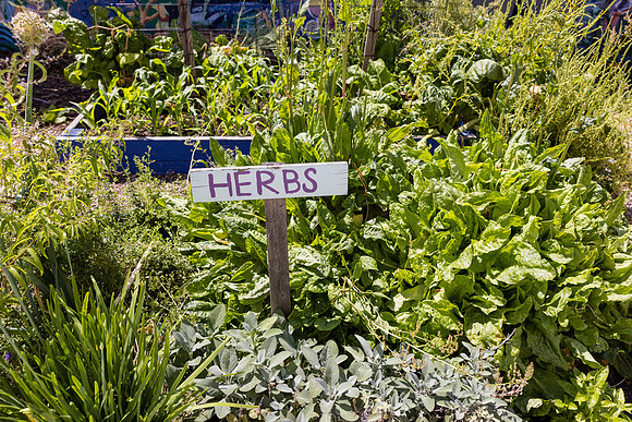 Boys and Girls Club of Long Beach - David England Photography-034