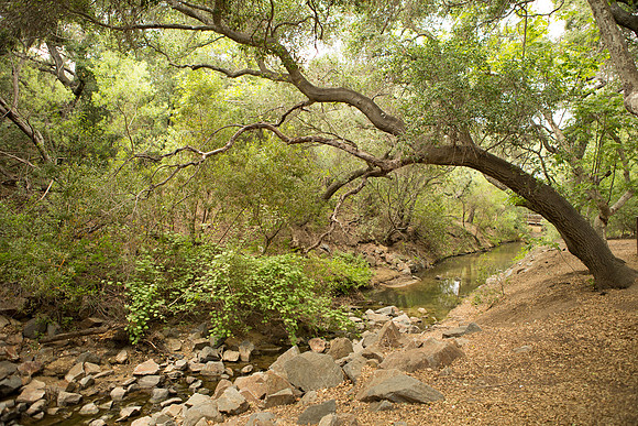 Oak Canyon Nature Center-3
