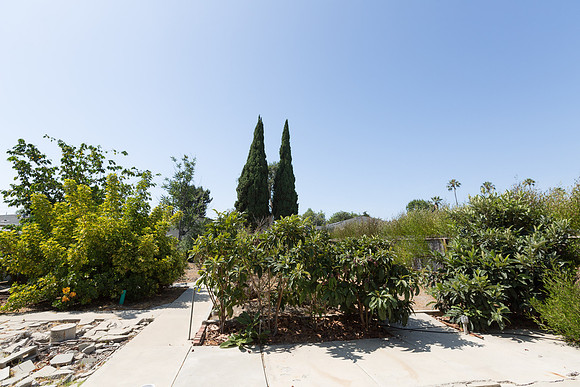 Real Estate Photographer Lomita-158