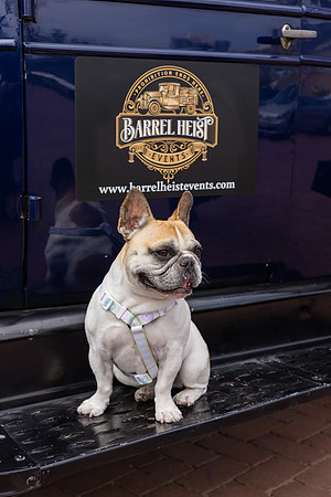 Hotel del Coronado Photographer-152