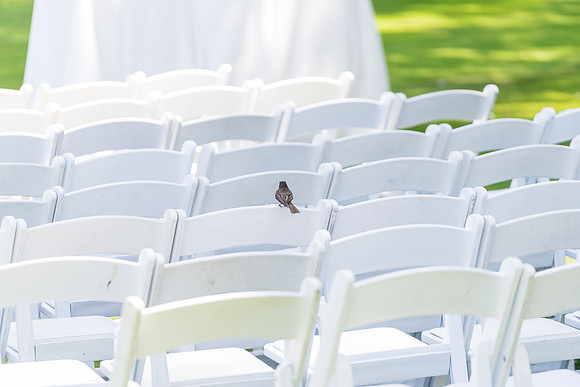El Dorado Golf Course Weddings - David England Photography-099