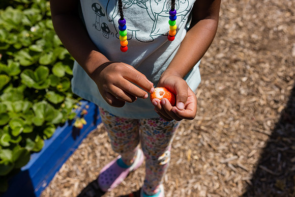 Boys and Girls Club of Long Beach - David England Photography-059