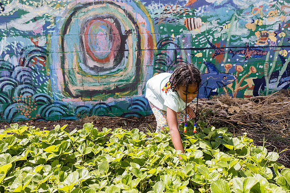 Boys and Girls Club of Long Beach - David England Photography-043