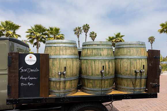 Hotel del Coronado Photographer-111