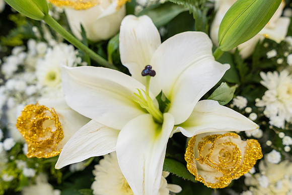 El Dorado Golf Course Weddings - David England Photography-101