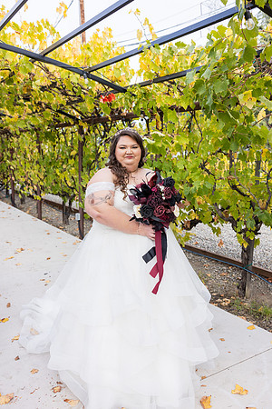 Wedding Photos Del Valle Winery Livermore Ca-124