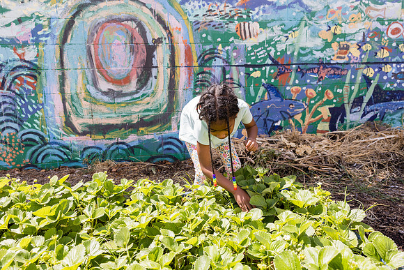 Boys and Girls Club of Long Beach - David England Photography-042