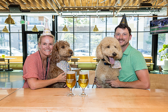 Pet Photographer Long Beach  - Trademark Brewing -056