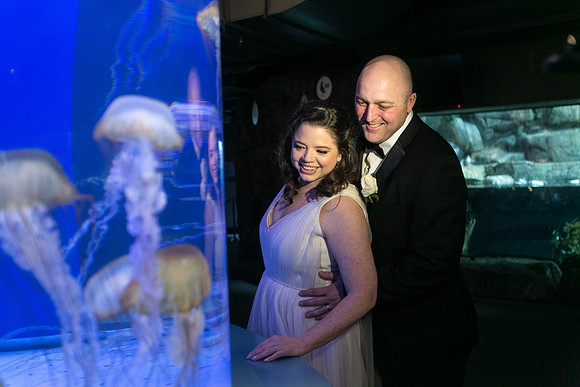 Acquarium of the Pacific Wedding-15