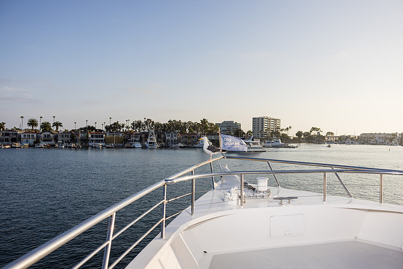Bitas Birthday Celebration - Endless Dreams Newport Beach -093
