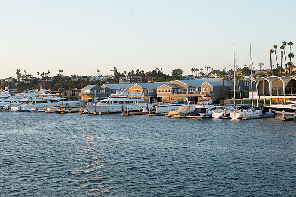 Wild Goose Hornblower-41