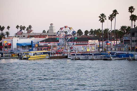 Wild Goose Hornblower-48