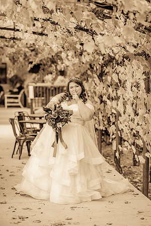 Wedding Photos Del Valle Winery Livermore Ca-117