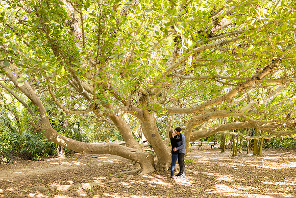 Engagement Photos South Coast Botanic Garden-145