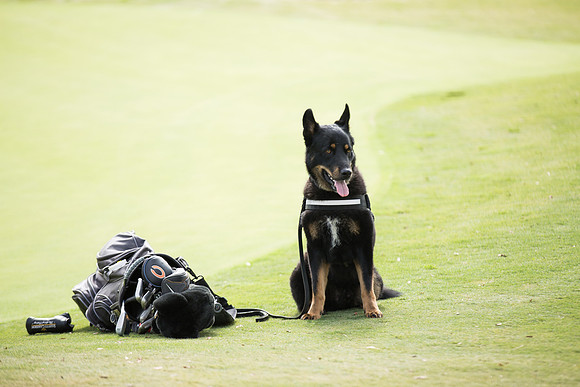 Wounded Warrior Golf Day 2017-215