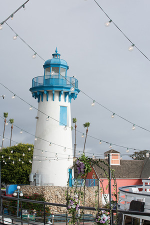 Hornblower Entertainer-28