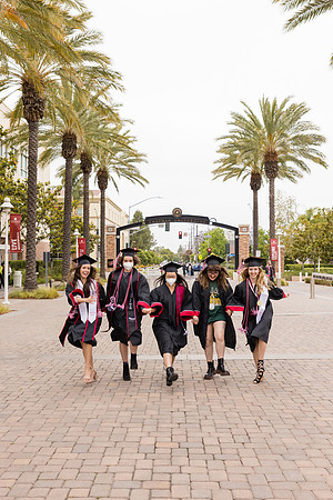Chapman Baccalaureate -102