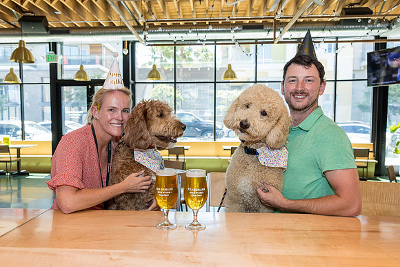 Pet Photographer Long Beach  - Trademark Brewing -065