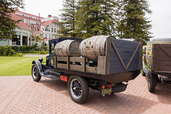 Hotel del Coronado Photographer-075