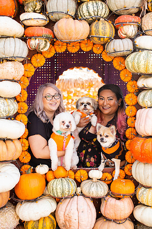 Mr. Bones Culver City Halloween Photographer-40