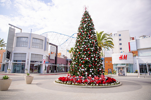 Event Photographer Long Beach-133