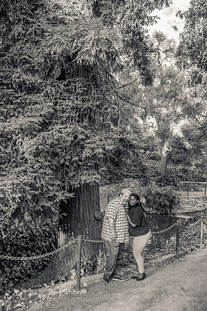 Engagement Photos Averill Park-106