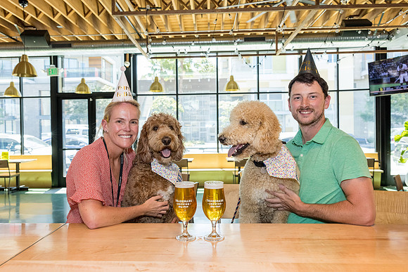 Pet Photographer Long Beach  - Trademark Brewing -057