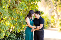 Engagement Photos South Coast Botanic Garden -  Palos Verdes Estates-004