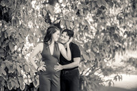 Engagement Photos South Coast Botanic Garden -  Palos Verdes Estates-014